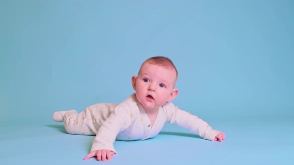 Infant baby boy looks with curiosity while lying on his tummy, studio blue background.