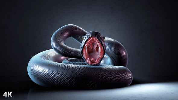 Black Snake In Slow Motion
