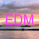Summer EDM Festival