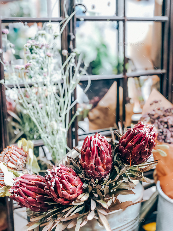 Protea flowers and plants in small florist shop