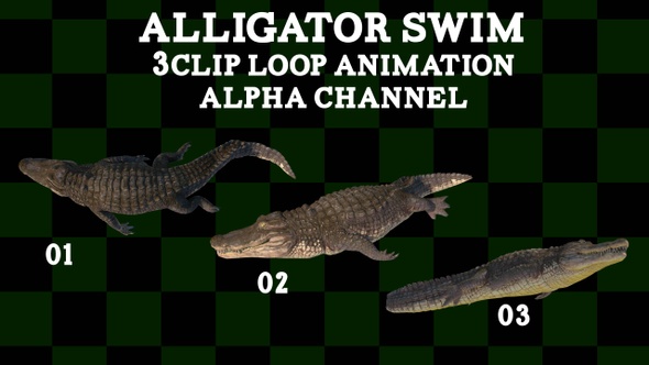Alligator Swim 3Clip Loop