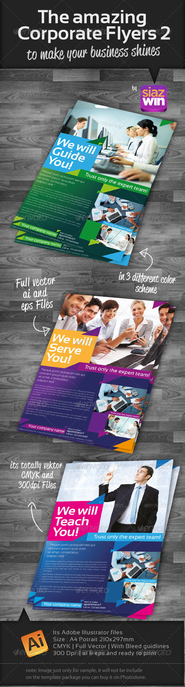 The Corporate Flyers 2 - Corporate Flyers