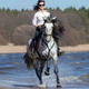 Horse woman and Spanish horse speed running - PhotoDune Item for Sale