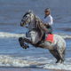Rearing Andalusian dapple gray stallion and woman on beach. - PhotoDune Item for Sale