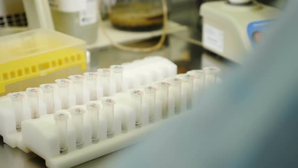 Researcher Works at Molecular Genetic Research Laboratory Workplace for DNA Test alt