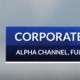 Elegant Corporate Lower Third - VideoHive Item for Sale