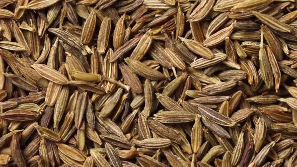 Dried  cumin seeds close up full frame  alt