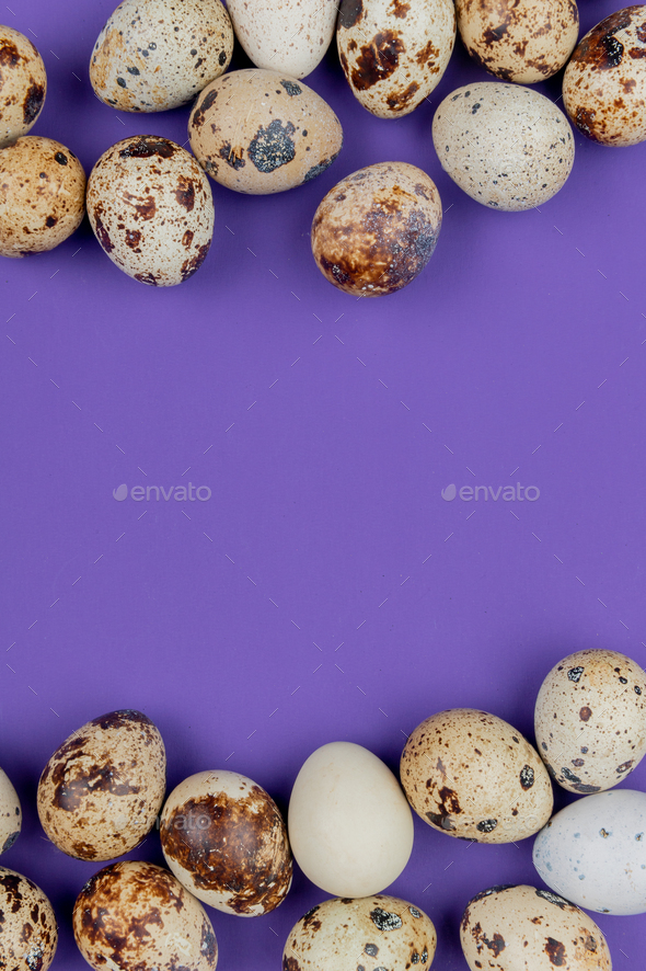 purple quail eggs