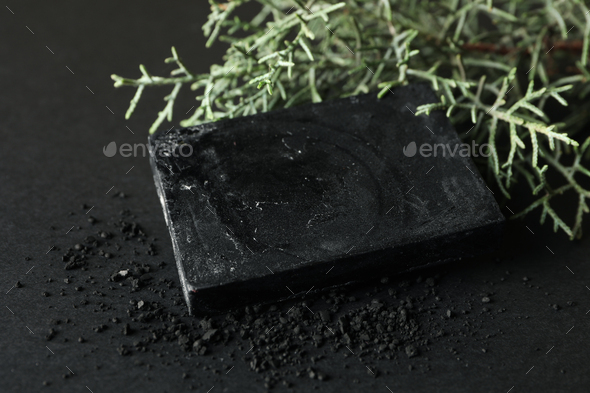 Charcoal soap and thuja branches on black background