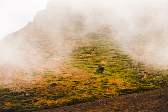 Autumn foggy landscape od Chatyr-Dag mountain - Stock Photo - Images