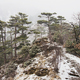 Heavy snow in the mountain trekking - PhotoDune Item for Sale