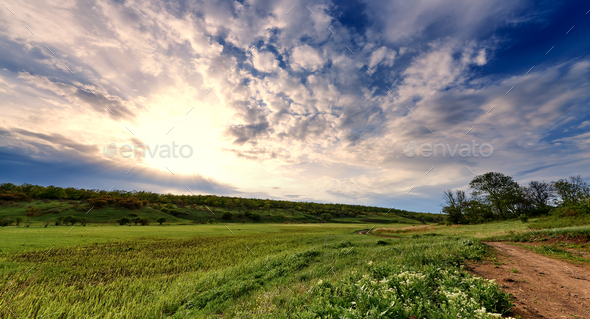 Green meadows under a blue sky in the sunlight. - Stock Photo - Images