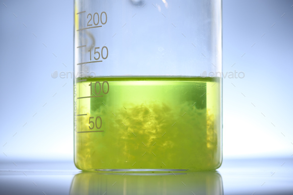 algae biofuel in biotech laboratory, Photobioreactor algae fuel research in biofuel