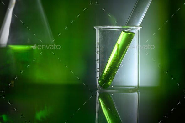 algae biofuel tube in biotech laboratory, Photobioreactor in lab algae fuel biofuel industry