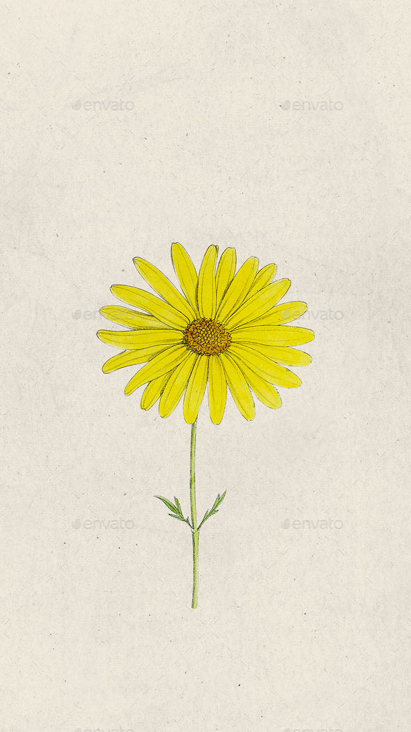 Yellow Daisy flower phone background Stock Photo by Rawpixel | PhotoDune