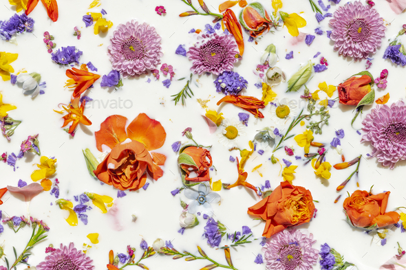 Colorful spring flowers in a milk bath patterned background Stock Photo