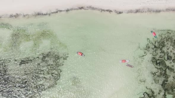 Zanzibar Tanzania  Vertical Video of the Ocean Near the Coast Slow Motion alt