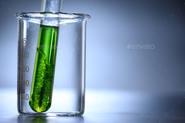 algae biofuel in biotech laboratory, Photobioreactor algae fuel research in biofuel industrial