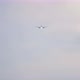 Long Shot of Airplane Landing - VideoHive Item for Sale