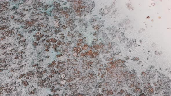 Ocean Coral Reef and Beach Shallow at Low Tide Zanzibar Matemwe Top Aerial alt