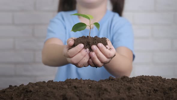 Child enjoy the plant. alt