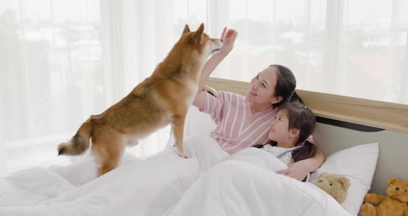 Mother and daughter playing with brown dog on bed (3)