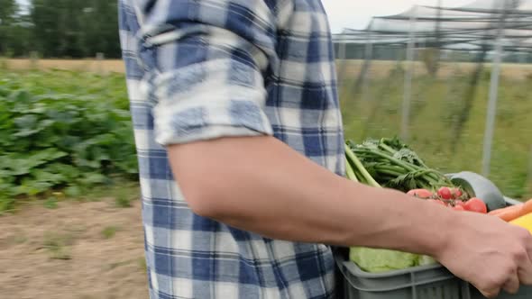 Walking Farmer carries a full delivery box full of ripe harvested vegetables.