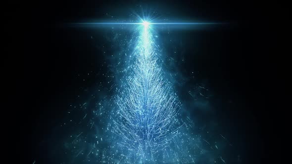 Animated Blue Christmas Pine Tree Star isolated seamless loop in HD