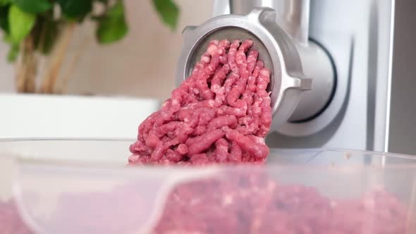 Meat in an Electric Meat Grinder