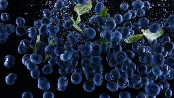 Blueberries and mint splashing into the water. Berries falling slowly on a black background