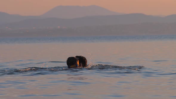 Boy Playing with Father in the Sea, Ocean alt