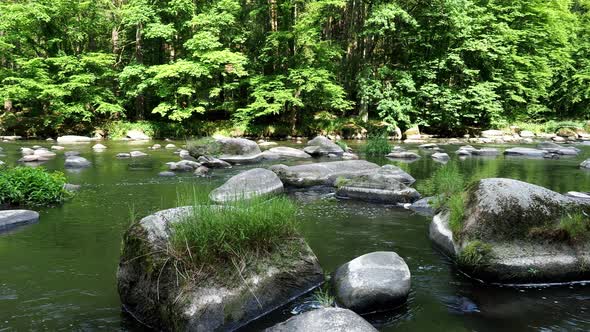 Landscape with forest, river and stones. River Sazava, Czech republic