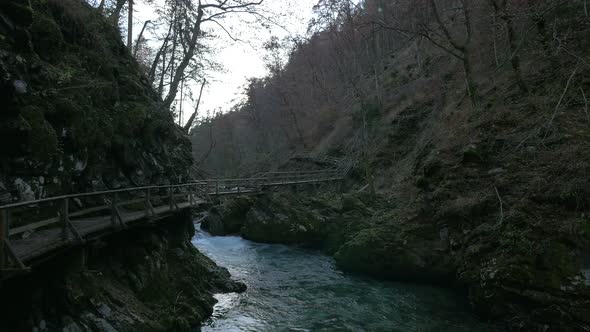 The wooden path in Vintgar gorge, Bled