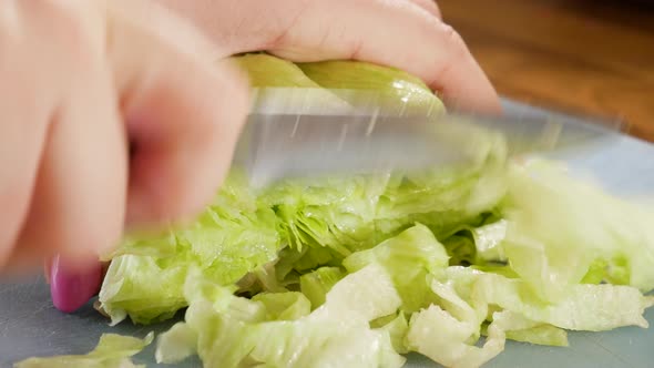 Female cutting fresh and juicy lettuce in close up static view alt