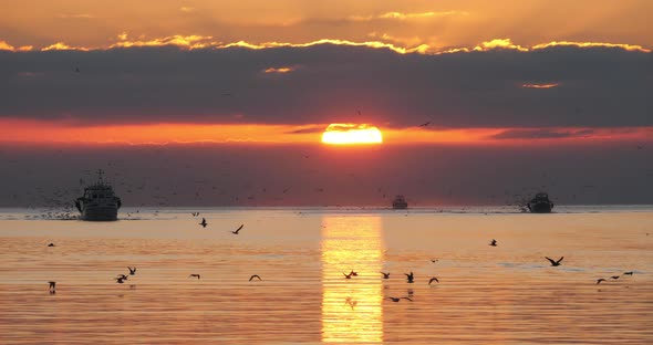 fishing boats coming back to the harbour at sunset, France alt