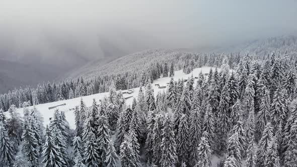 Aerial Spin Around Winter Forest in Mountain Valley