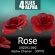 Rose - VideoHive Item for Sale