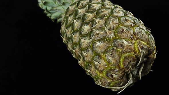 Rotating Tropical Exotic Fruit Pineapple On A Black Background.