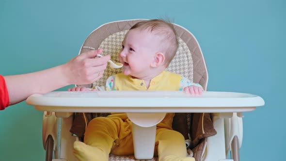 Mother feeding toddler baby with spoon on high chair for children, blue studio background