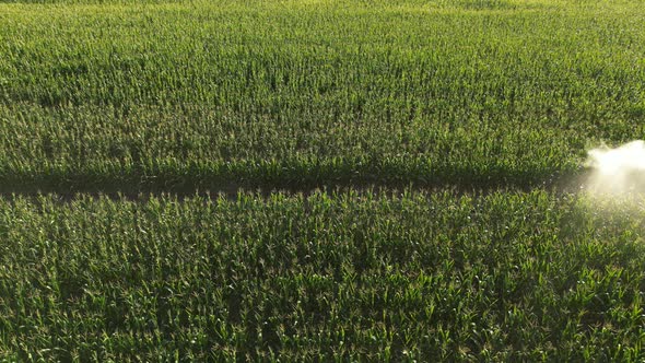 Agricultural Irrigation System 19 alt