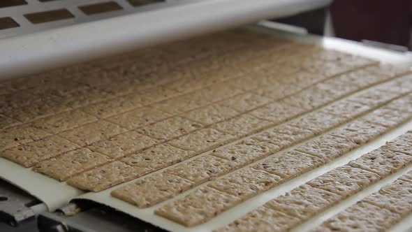 Walnut Cookies Move Along Conveyor Belt in Bakeryshop Indoors alt