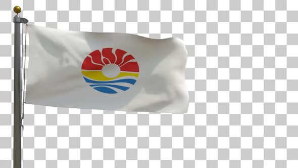 Benito Juarez Flag (Mexico) on Flagpole with Alpha Channel alt