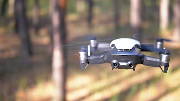 Drone with a Camera Hovers in the Air Above the Ground in the Forest. Slow Motion alt