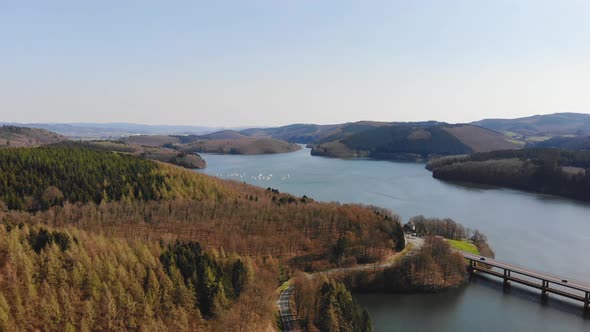 Flight Over Lake at Spring