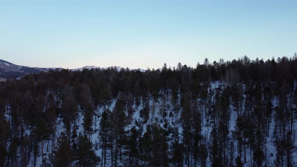 Rocky mountains with alpenglow reveal behind a hill of pine trees during the winter, aerial alt