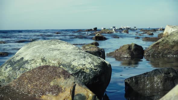  Big Stone in the Water By the Sea