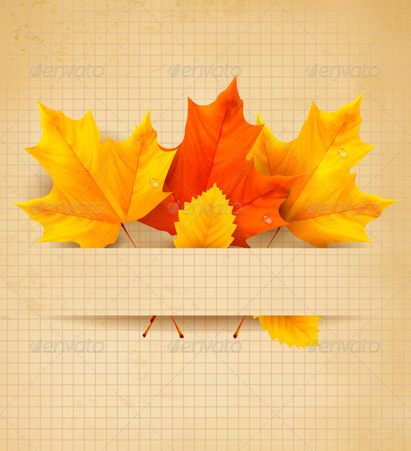 Colorful autumn leaves on a old paper - Flowers & Plants Nature