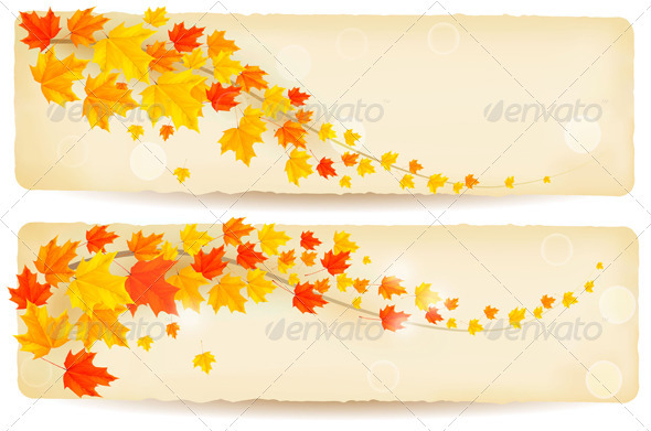 Set of autumn banners with colorful leaves. Vector - Flowers & Plants Nature