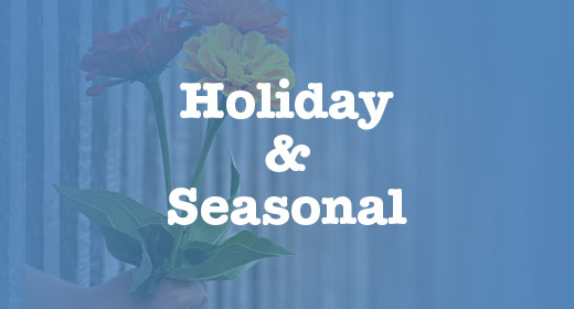 Holiday&Seasonal