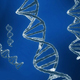 DNA sequencing RNA genetics